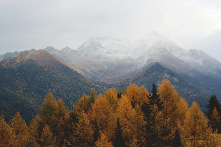 What’s on My Fall Bucket List?