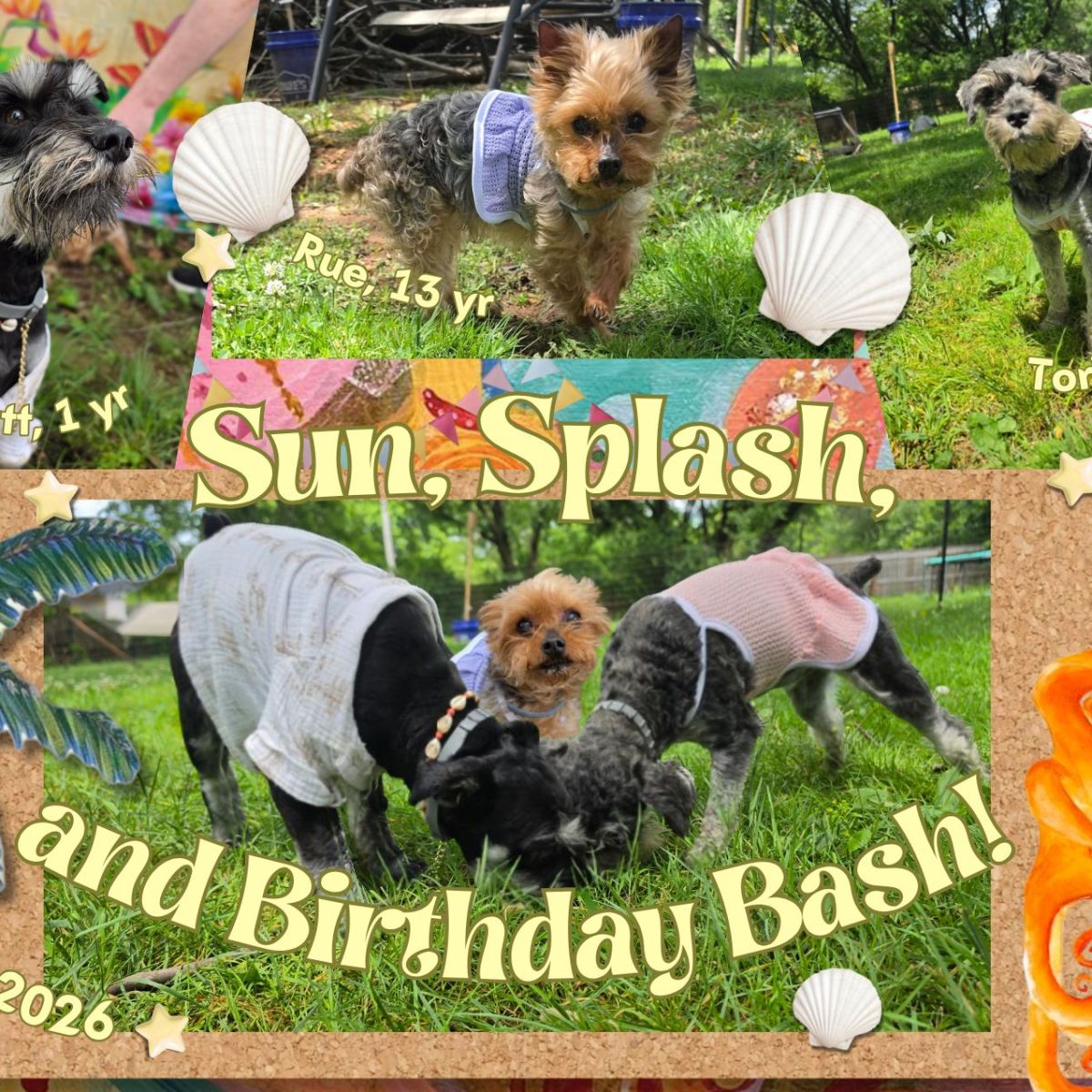 Birthday Pawty!