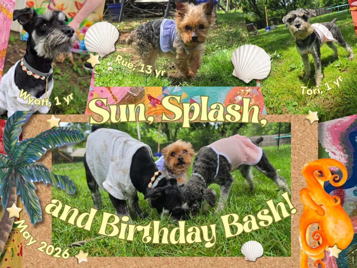 Birthday Pawty!